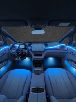 Đèn nội thất BYD Dolphin